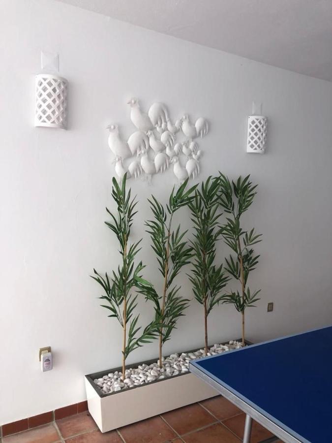 Ofir Beach House Bonanca エシュポゼンデ エクステリア 写真