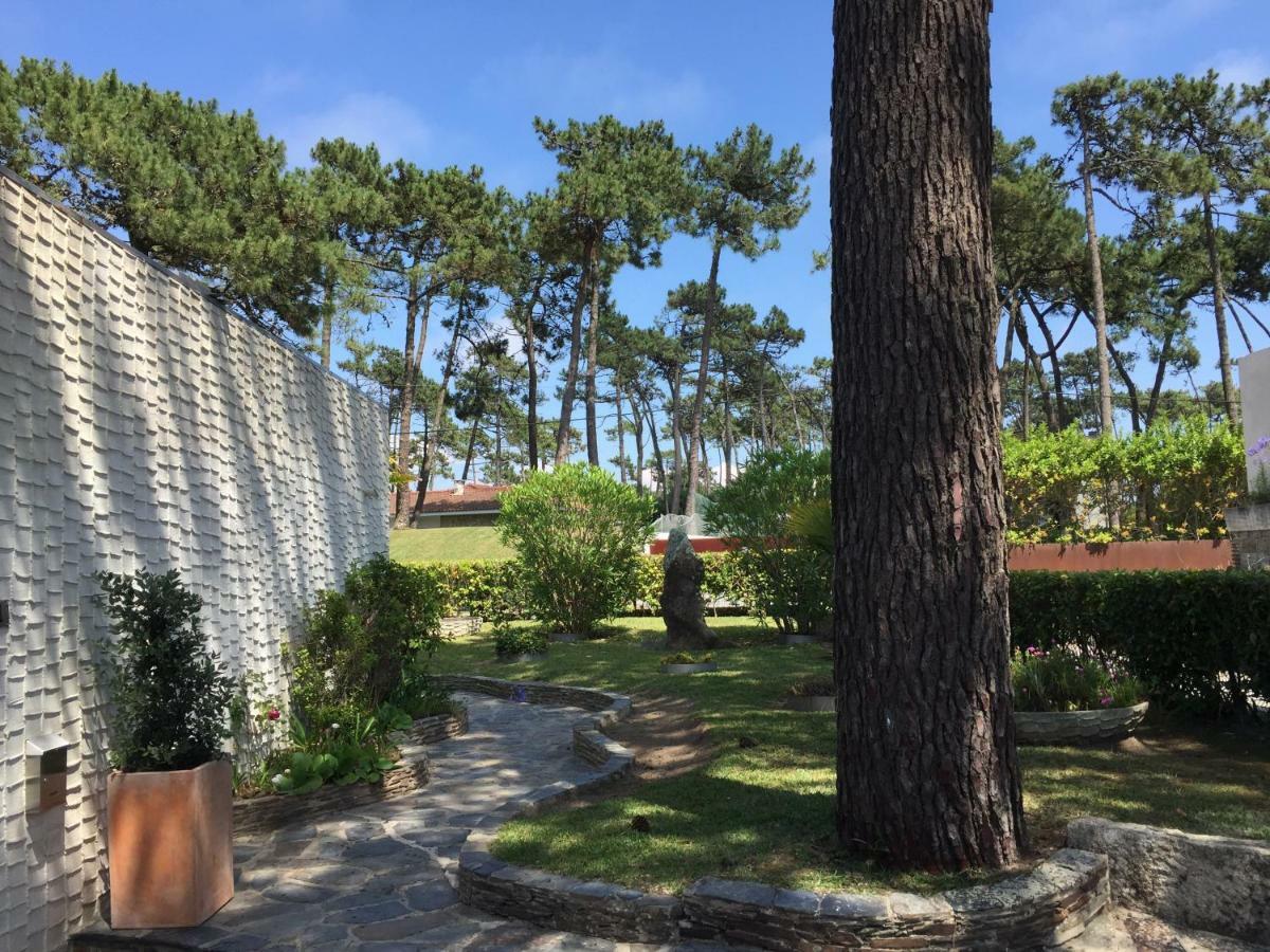 Ofir Beach House Bonanca エシュポゼンデ エクステリア 写真